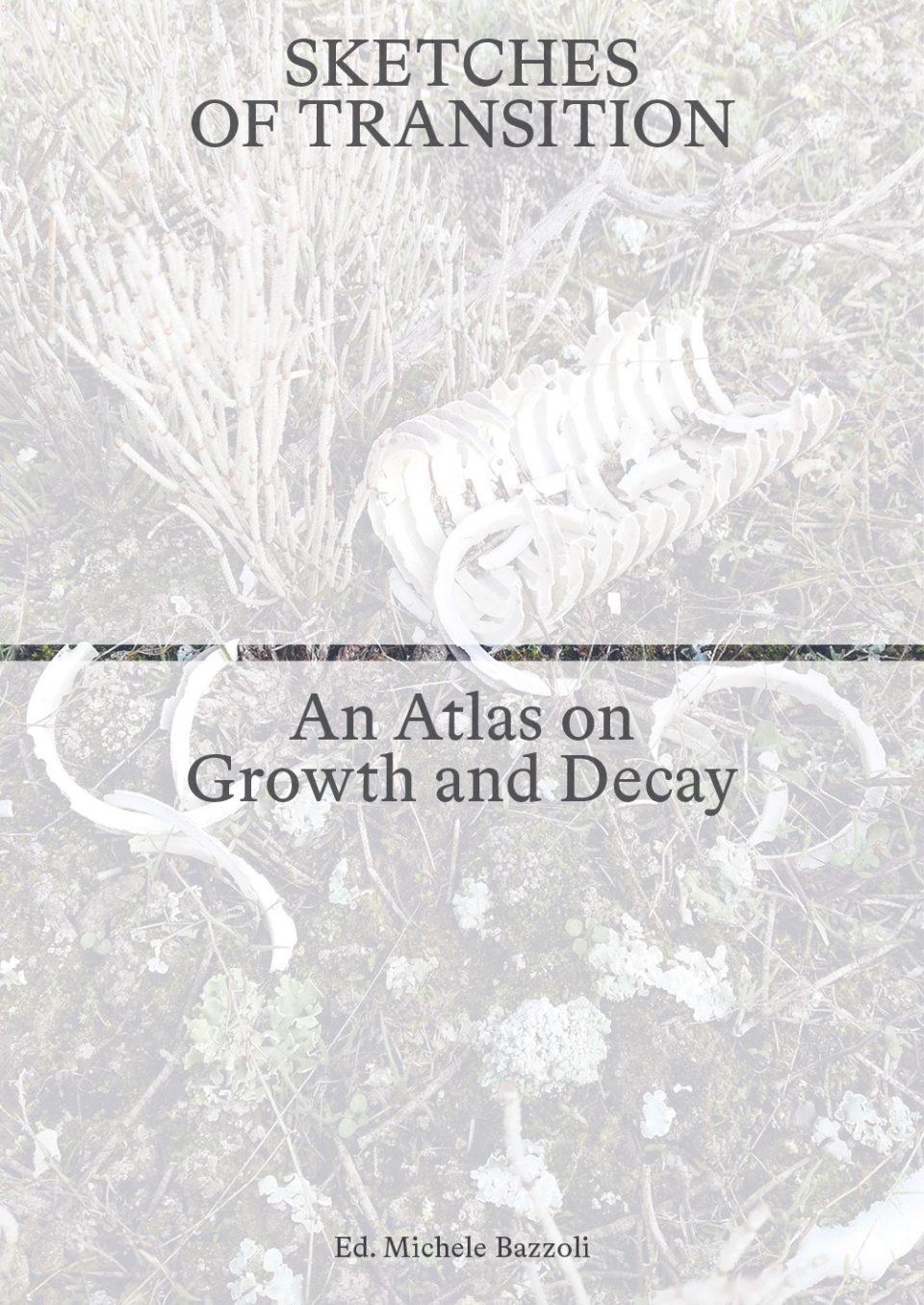 Sketches of Transition / An atlas of growth and decay